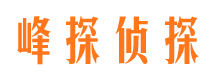 聂拉木寻人公司